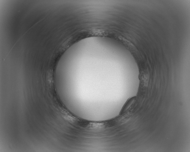 X0000074020665200609181902