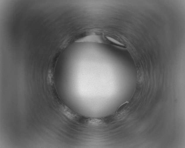 X0000074020669200609181902