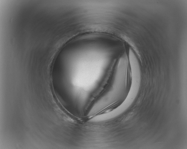 X0000074020673200609181901