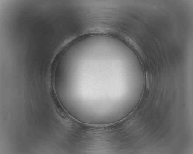 X0000074020675200609181901