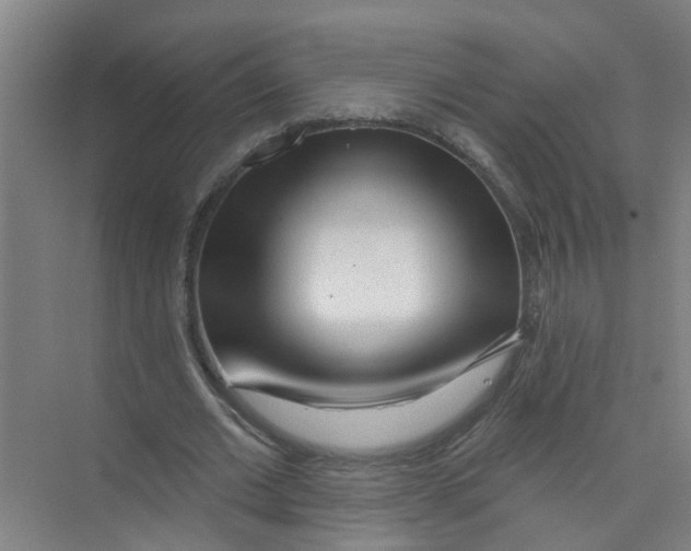 X0000074020677200609181901