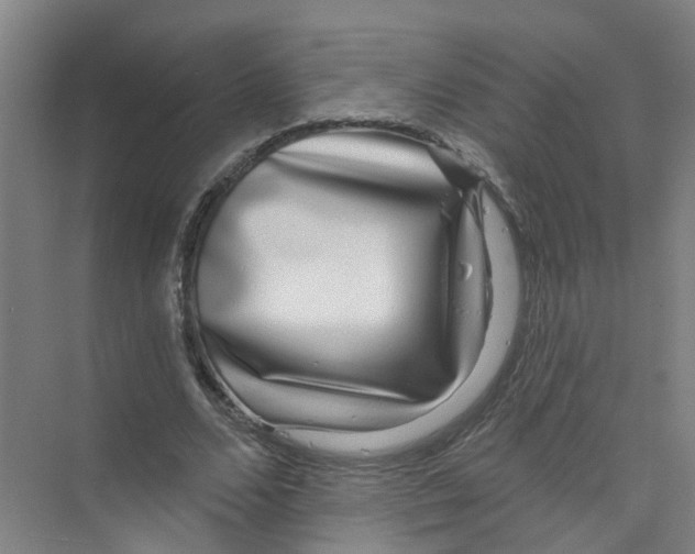 X0000074020680200609181901