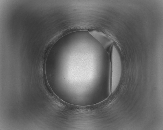 X0000074020681200609181901
