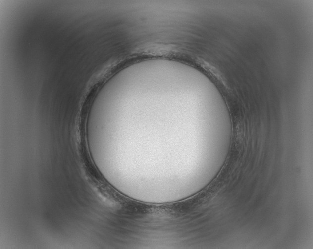 X0000074020682200609181901