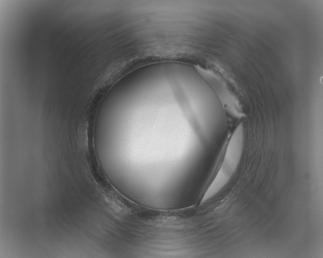 X0000074020685200609181901