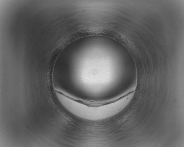 X0000074020689200609181901