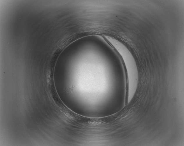 X0000074020693200609181901