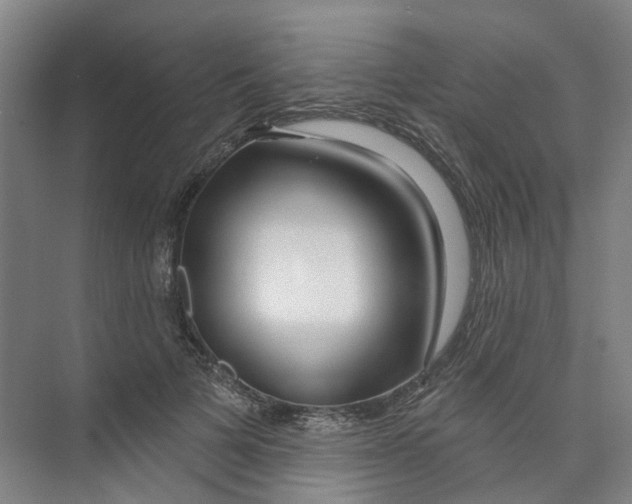X0000074020697200609181901