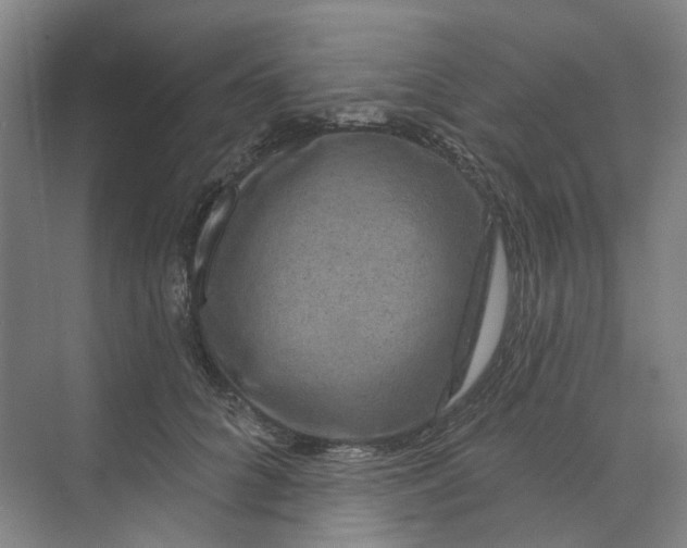 X0000074020704200609181901