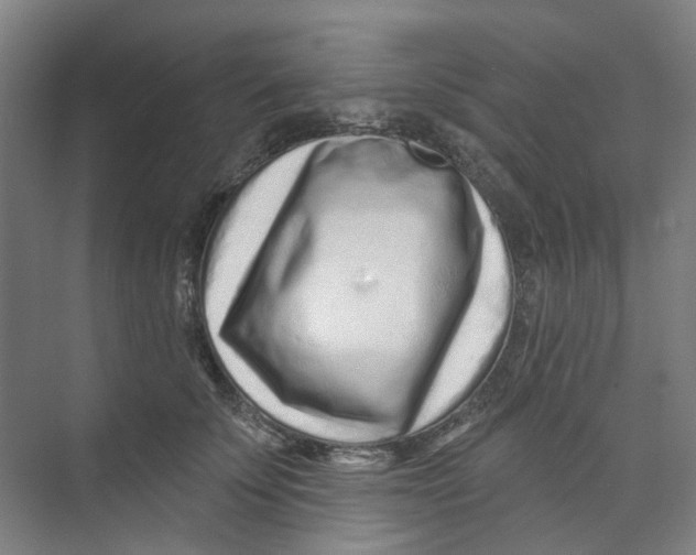 X0000074020707200609181901