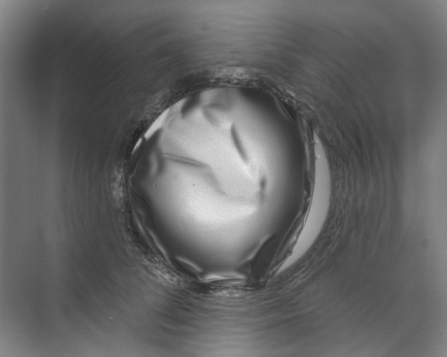 X0000074020708200609181901