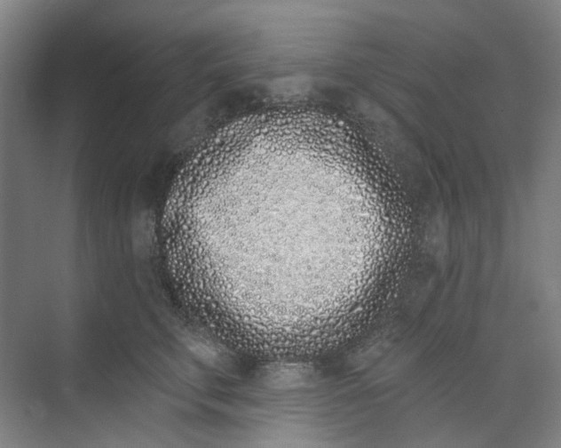 X0000074020711200609181901