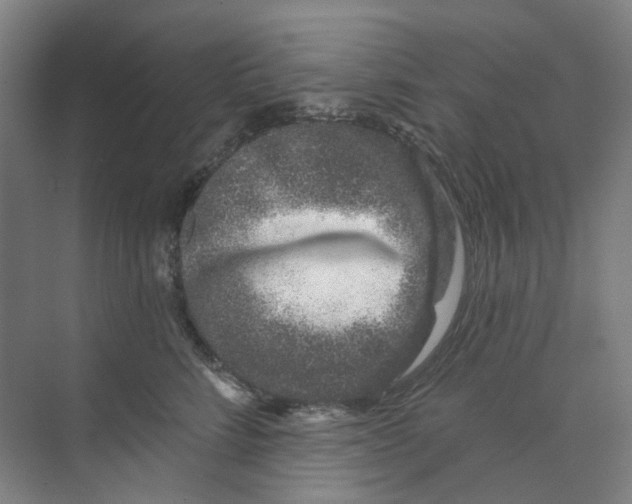 X0000074020712200609181901