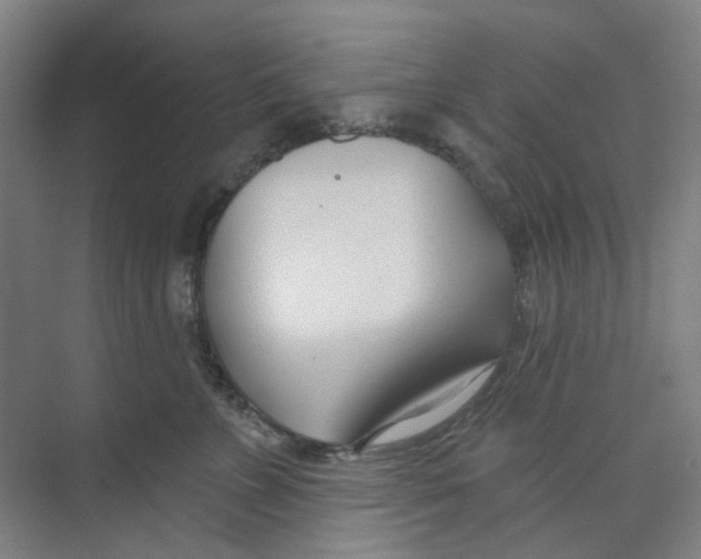 X0000074020715200609181901