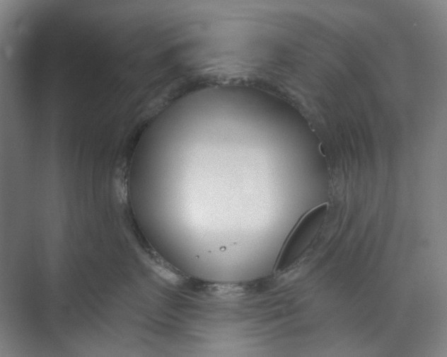 X0000074020719200609181900