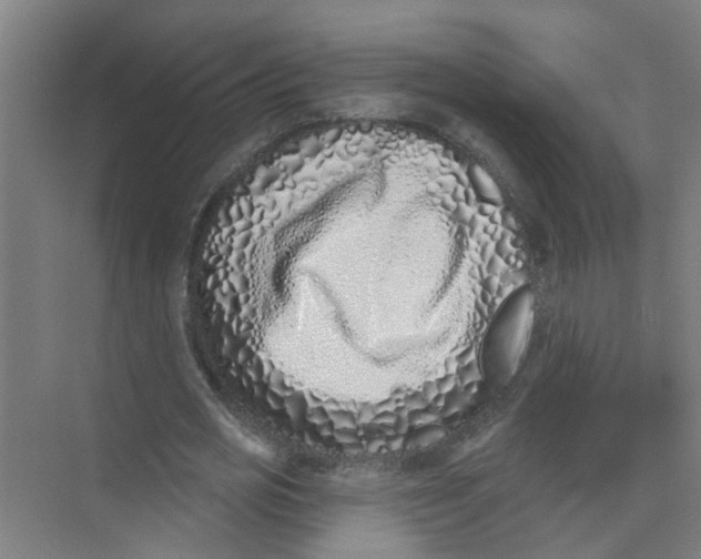 X0000074020725200609181900