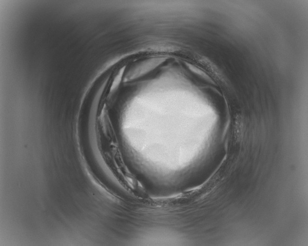 X0000074020726200609181900