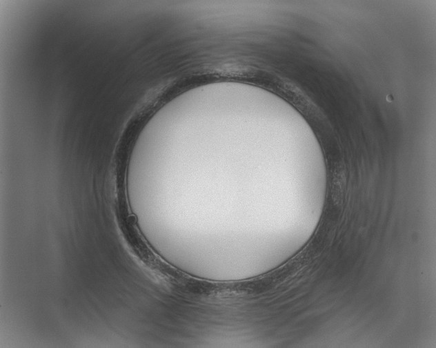 X0000074020734200609181900