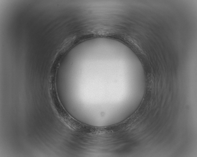 X0000074020738200609181900