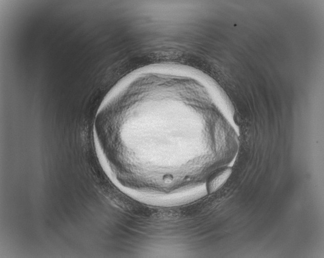 X0000074020745200609181900