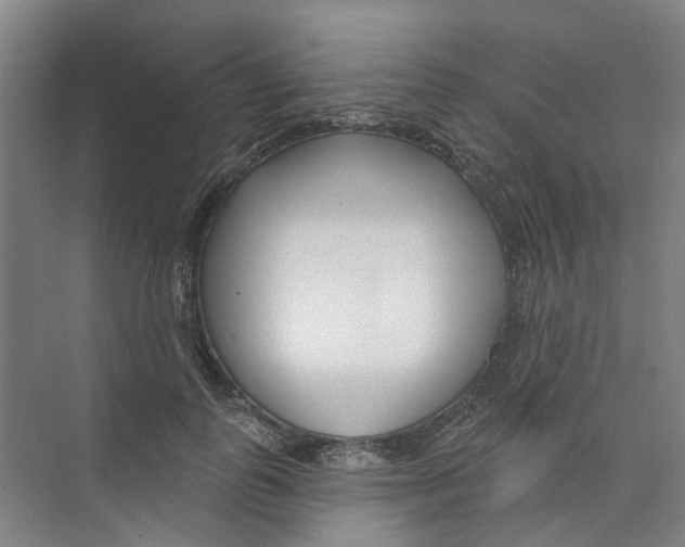 X0000074020747200609181900