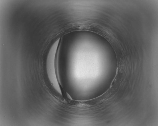 X0000074020748200609181900