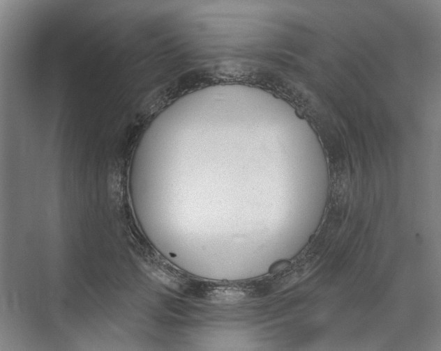 X0000074020749200609181900