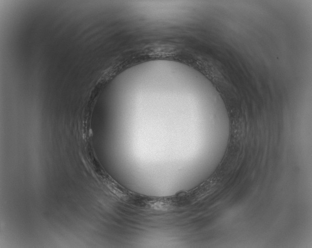 X0000074020755200609181900