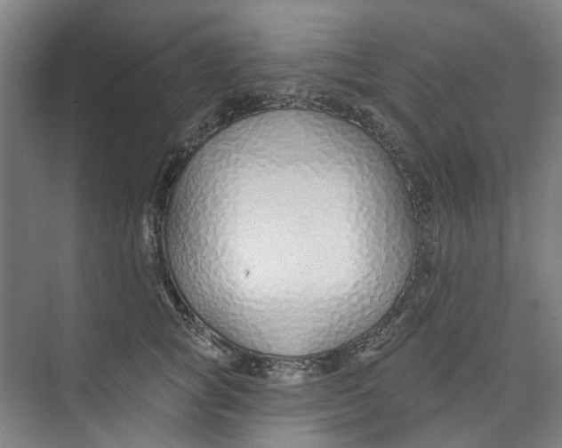 X0000074020757200609181900
