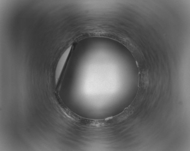 X0000074020760200609181900