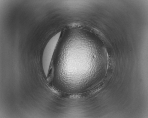 X0000074020762200609181900