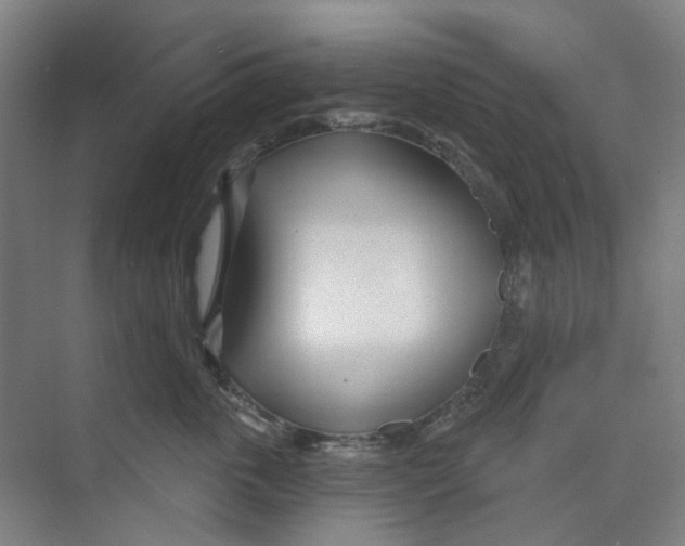 X0000074020763200609181900