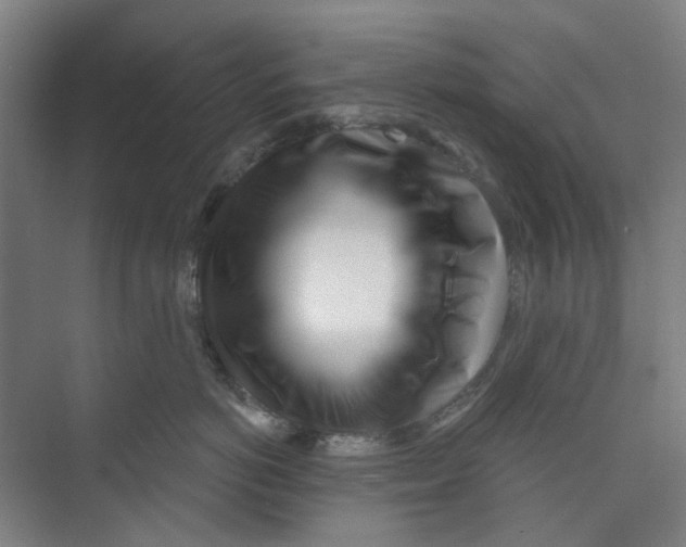 X0000074020766200609181900
