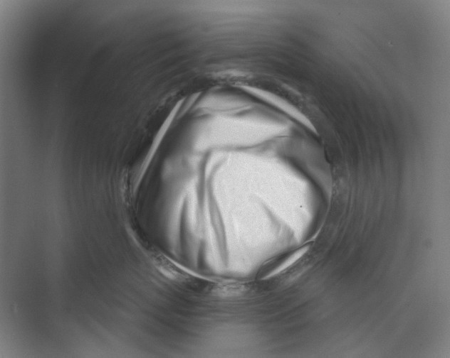 X0000074020767200609181900