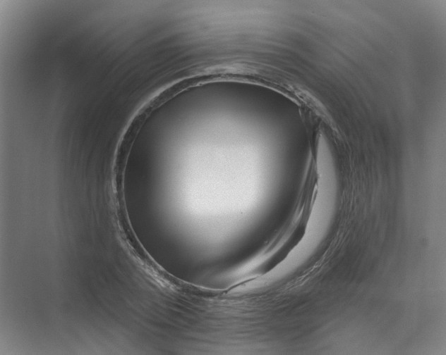 X0000074020784200609181859