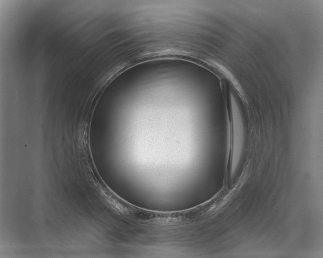 X0000074020793200609181859
