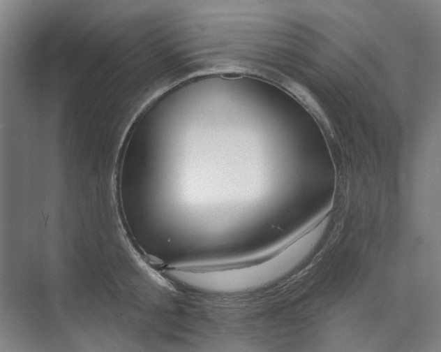 X0000074020805200609181859