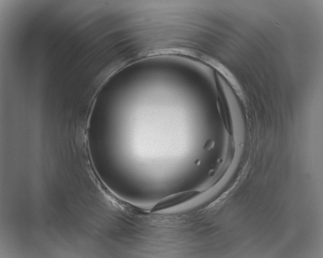 X0000074020809200609181859