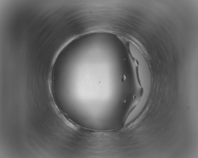 X0000074020812200609181859
