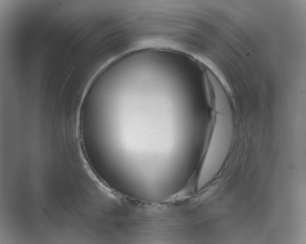 X0000074020815200609181859