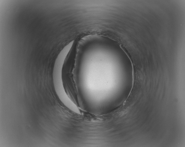 X0000074020818200609181858