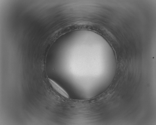 X0000074020821200609181858