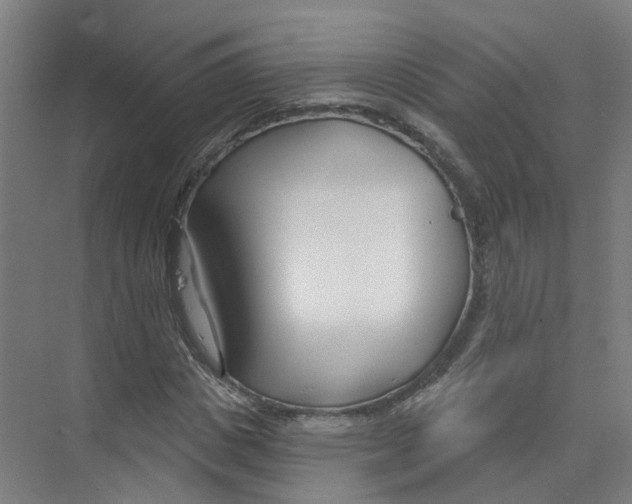 X0000074020825200609181858