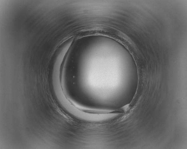 X0000074020826200609181858