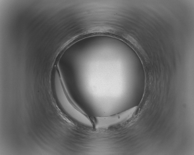X0000074020834200609181858