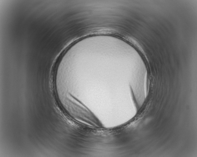 X0000074020835200609181858