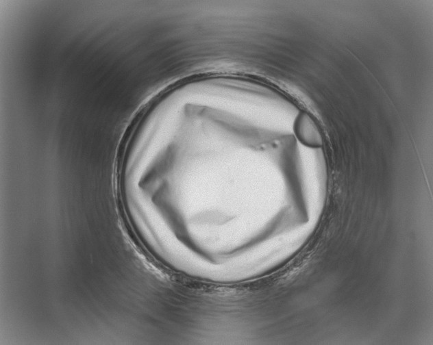 X0000074020839200609181858