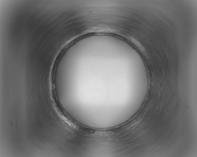 X0000074020840200609181858