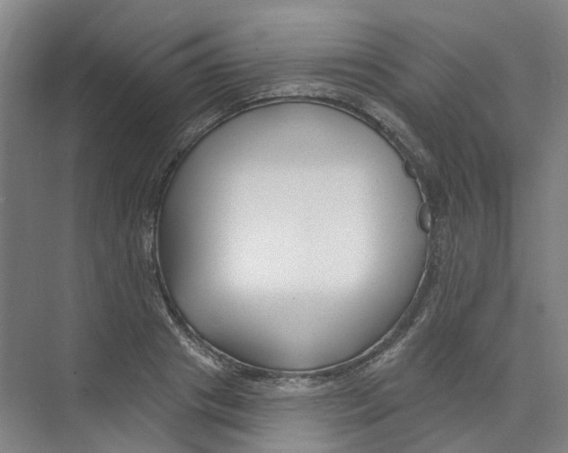 X0000074020841200609181858