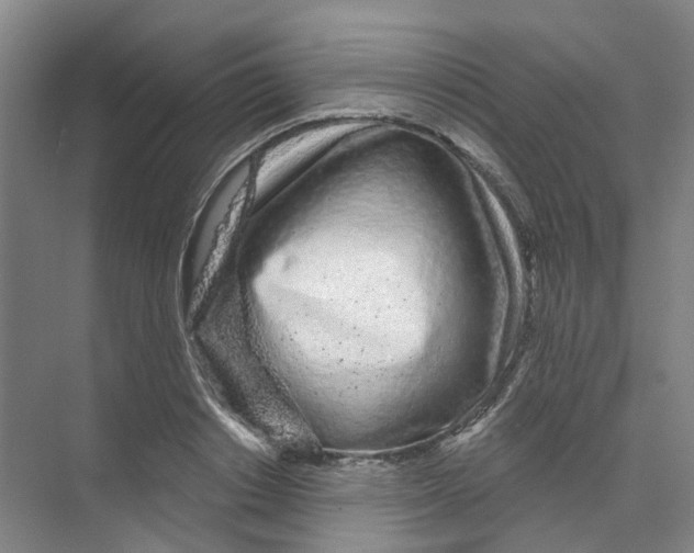 X0000074020842200609181858